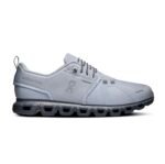 On Cloud Running 6 Waterproof Alloy Wolf